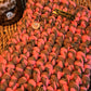 Crotchet Kindle Case - 4