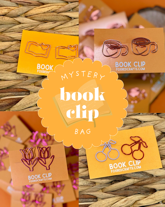 Book Clip Mystery Bag